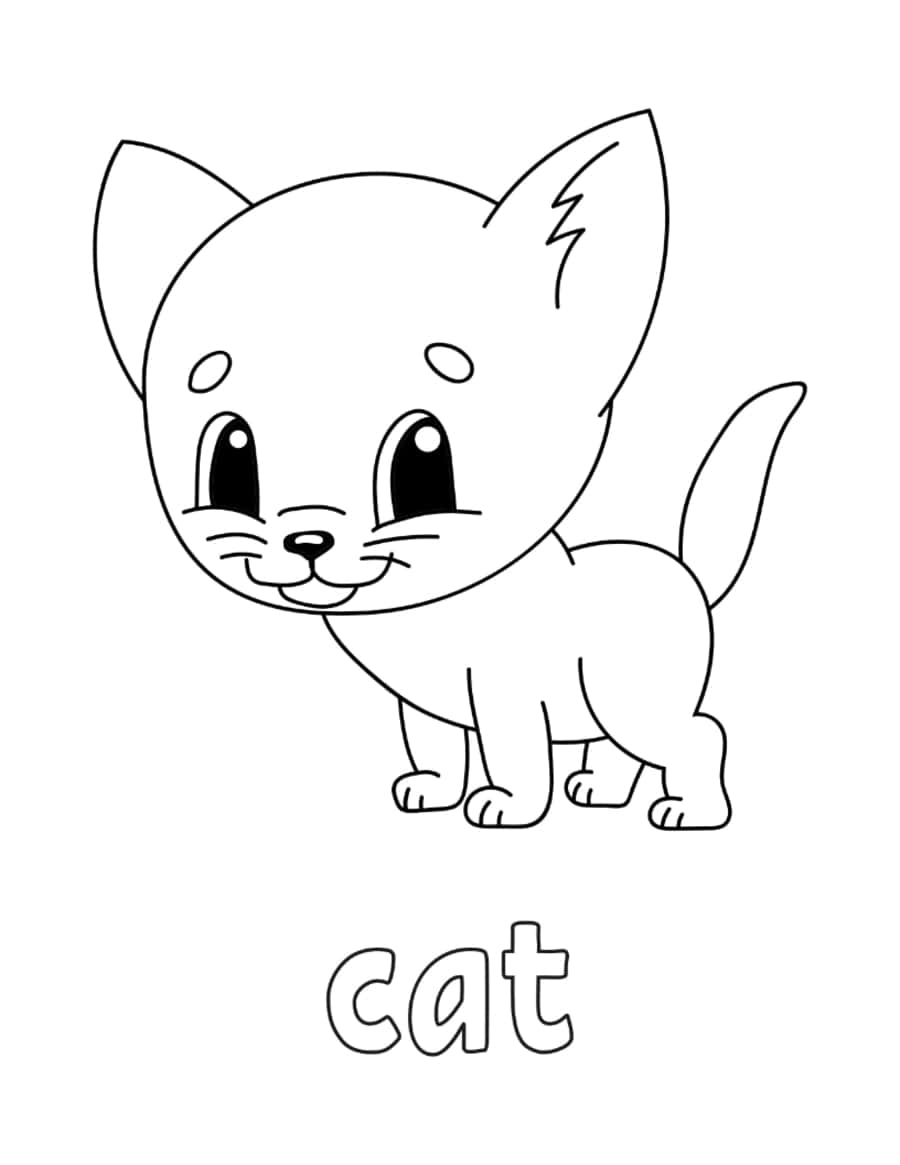 Preschool Cat Tracing Shape Pdf Free Vectors